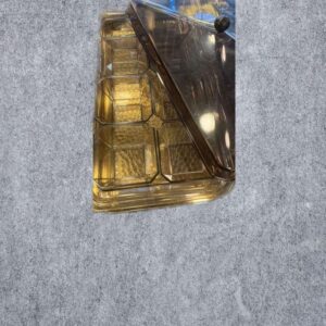 Gold Acrylic Sectioned Serving Tray with Lid